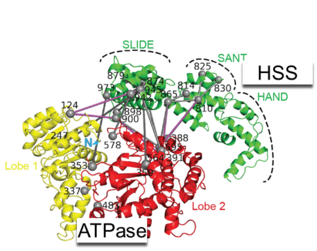harrer fig2