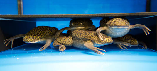 News Molecular Biology Lmu Munich