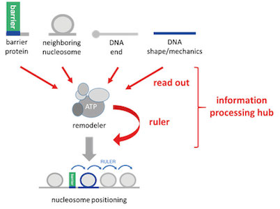 fig 6 processing hub