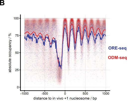 fig_7b_absolute_occupancy_map